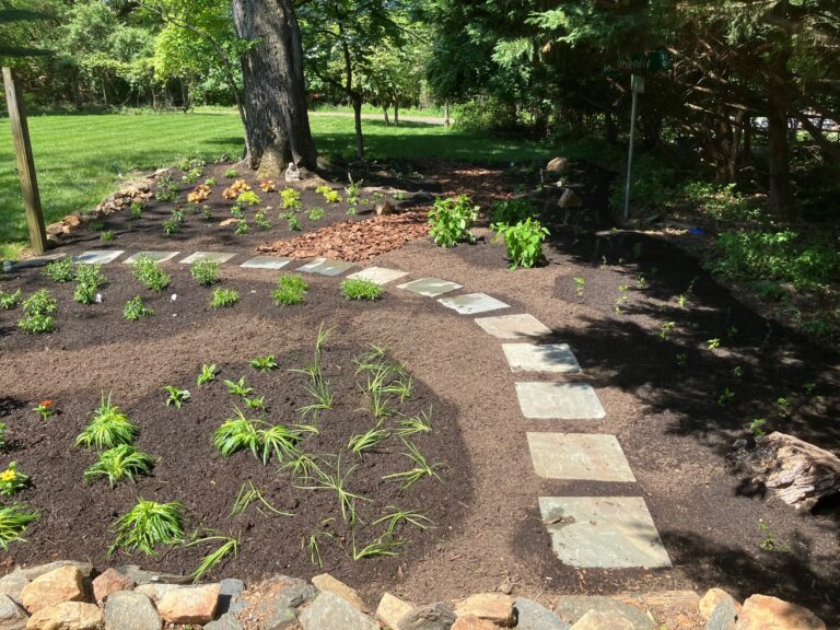 Shade Garden with Stone Pathway