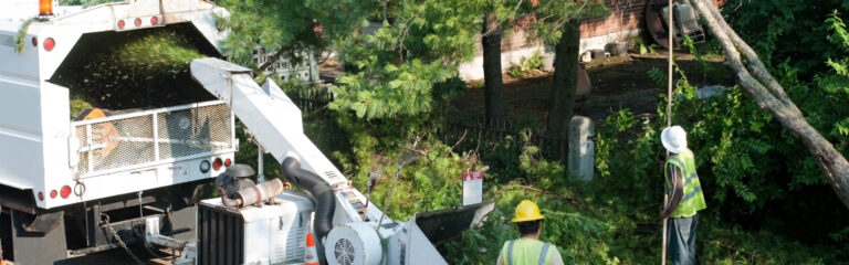 Find a Way to Grow More Shrubs