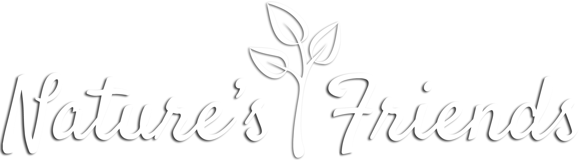 Nature's Friends Landscaping